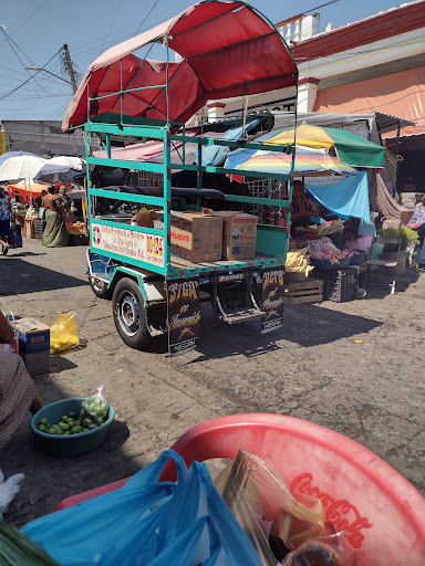Centro Tehuantepec Garden - Thumbnail