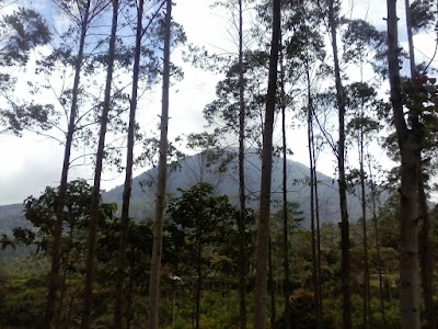Photos of Gunung Bukit Tunggul