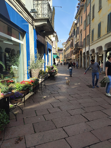 Case Perabò - Visual