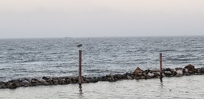 Dauphin Island Sea Lab