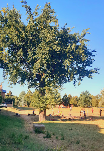 Parco della Quercia - Thumbnail