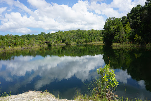Hog Pond Trail Withlacoochee State Forest