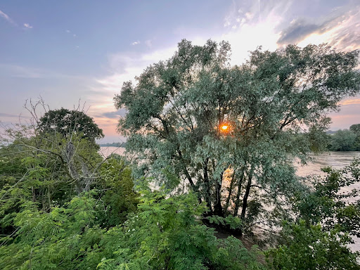 Comune di Casalgrasso Gallery - Italy