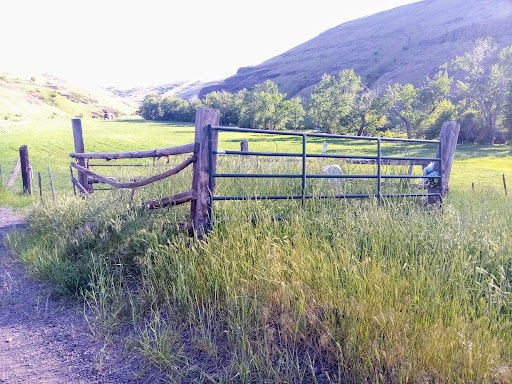 Warner Family Cemetery.