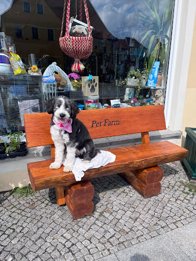 PetFarm - Visual
