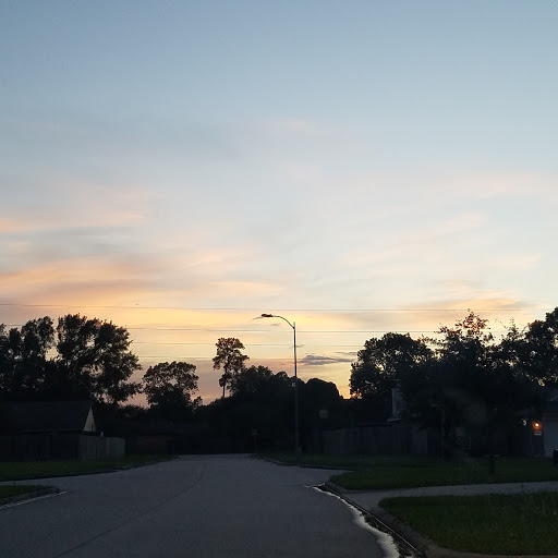 Kenswick Park - Visual