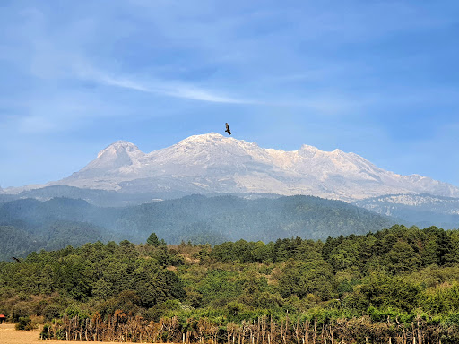 Quesos Santa Maria - Thumbnail