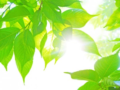 西伊場清水接骨院