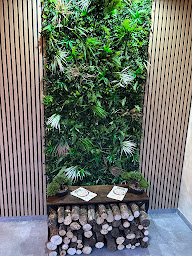 Photo n°55 de Pizzeria LA BOISÉE à Vénissieux (Restaurant halal)