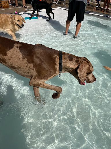 Plummer Pool - Visual
