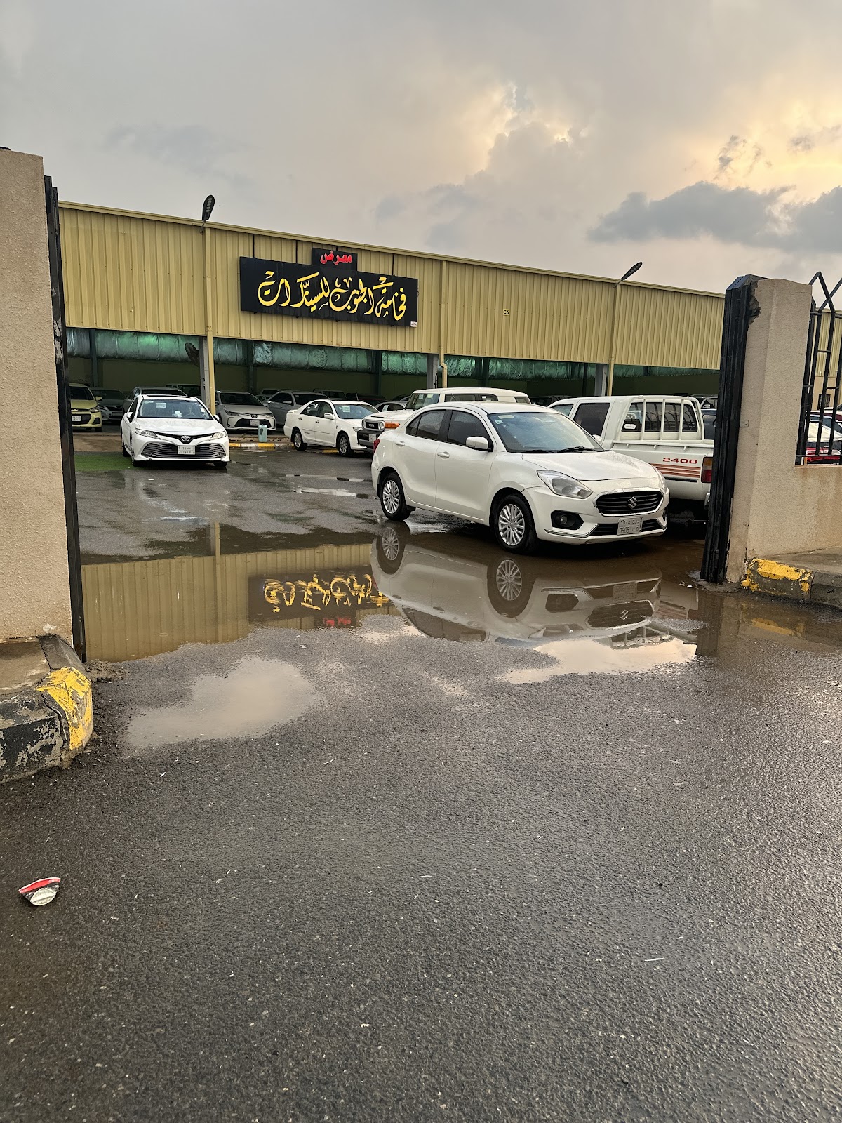 معرض فخامة الجنوب - صورة 2