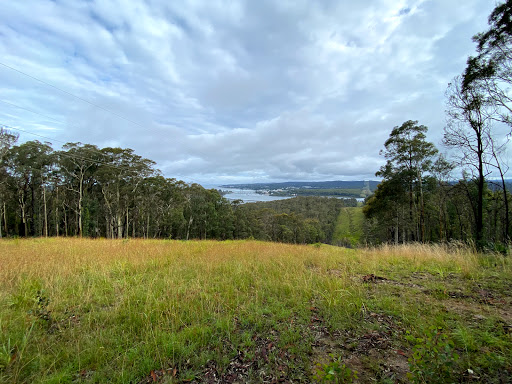 Holmes lookout Gallery - Australia