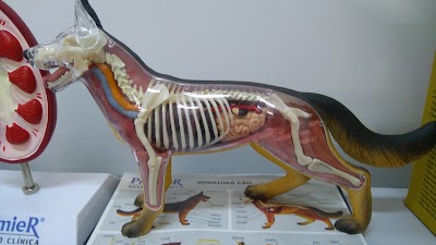 Photos of Veterinary Hospital of FESB