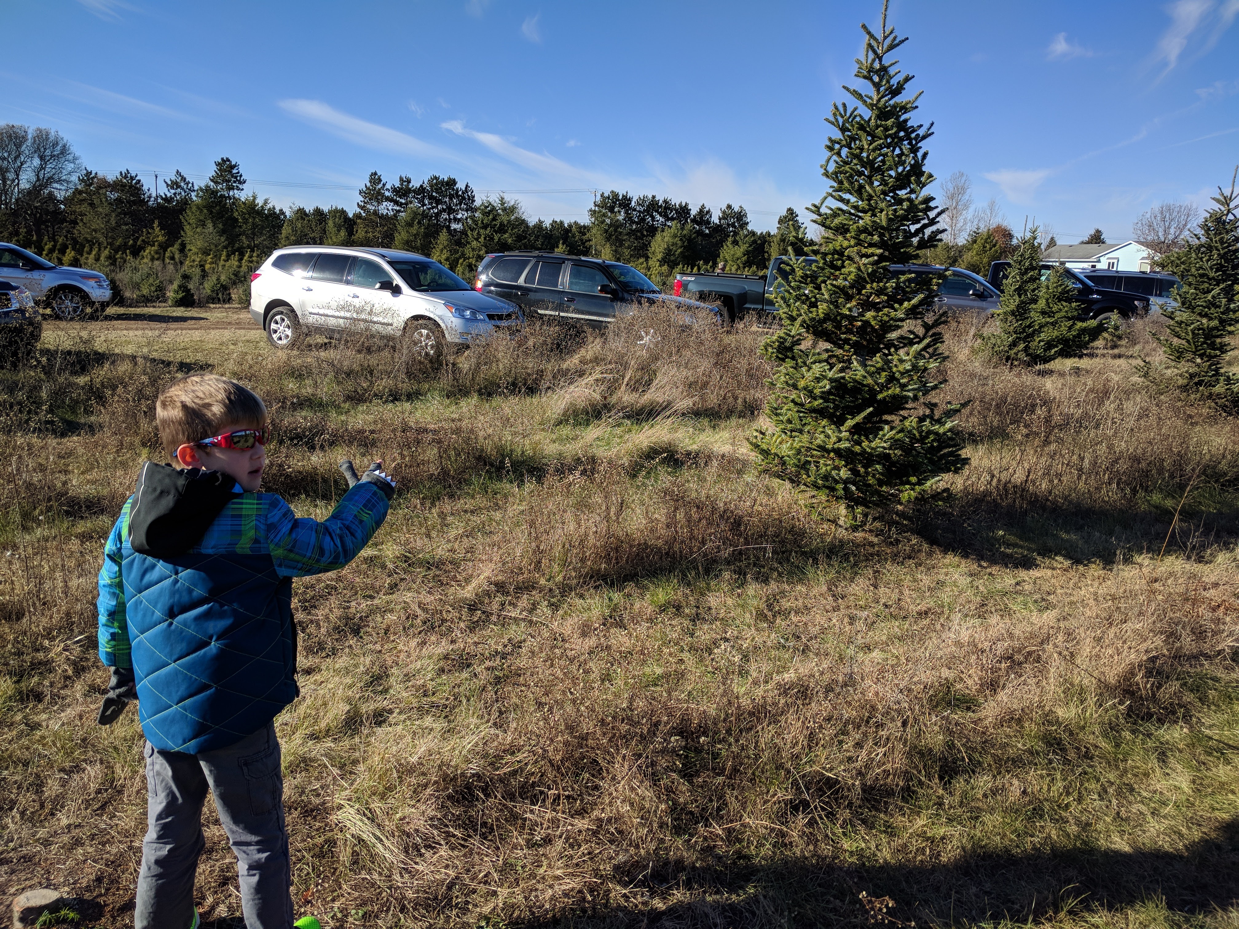 Riehle's Tree Farm