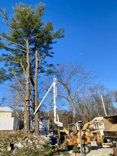 Old Time Tree Service