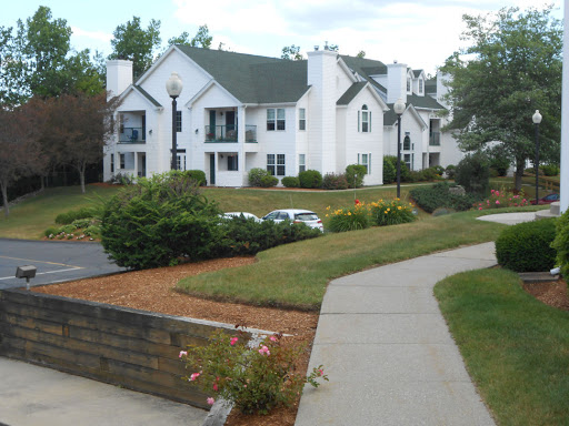 Rosemeade - Visual