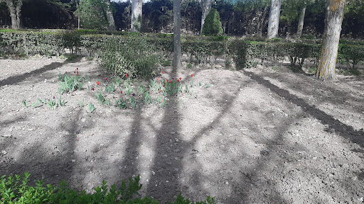Chopera Park - Visual