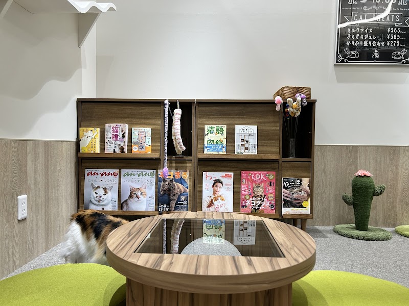 キャットラウンジNONNON盛岡南店