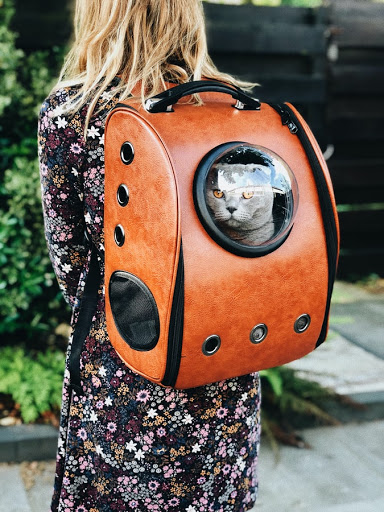 About Them Pets - Visual