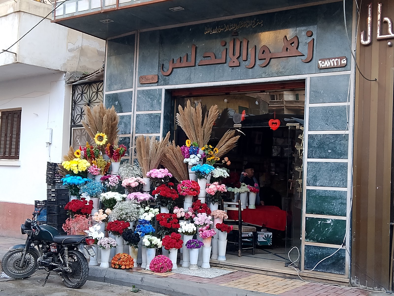 زهور الاندلس