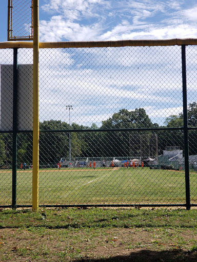 Alden Field - Visual