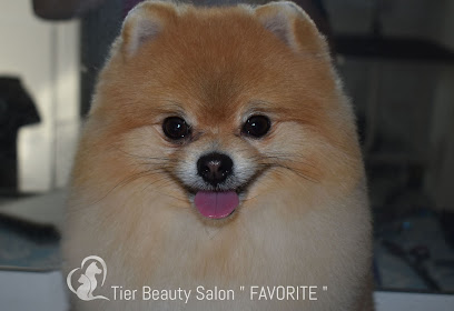 FAVORITE Hundefriseur Salon