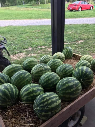 Wildberry Ridge Farm - Thumbnail