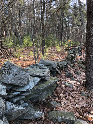Boroughs Loop Trail - Visual