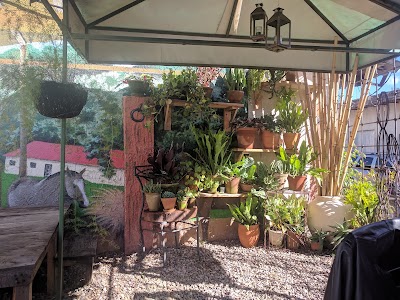 Photos of Hierro Y Barro Verde Caf&eacute;