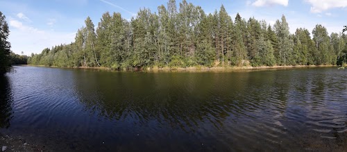 Seljajärv