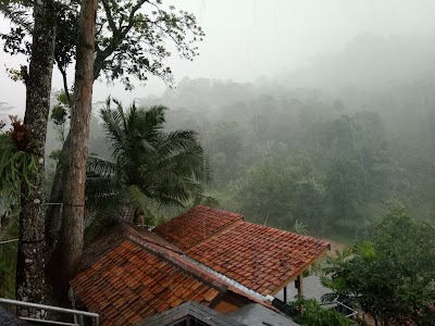 Photos of Tirta Arsanta