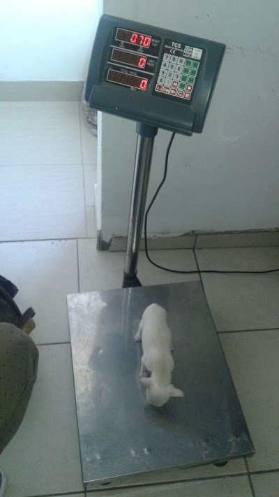 Photos of Veterinary Center CEDILO