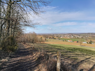 Photo n°2 de Immersion Break Nature à Montans (Centre de formation)