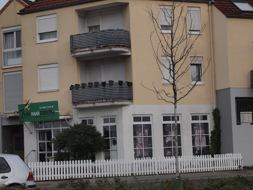 Vierhaareszeiten - Thumbnail