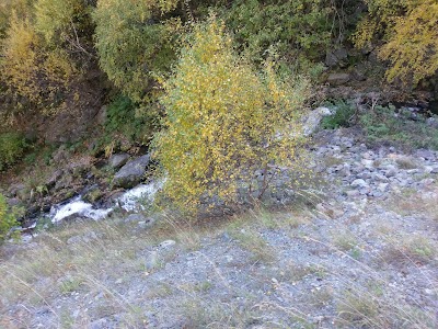 Photos of Alpine Camp "Gveleti"