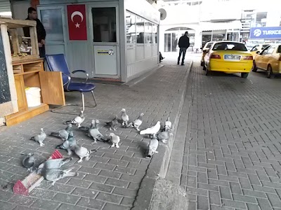 Photos of Atalar Taxi