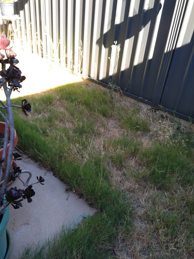 Playford Garden Care - Thumbnail