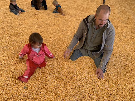 Sever's Corn Maze & Farm Market Gallery - United States