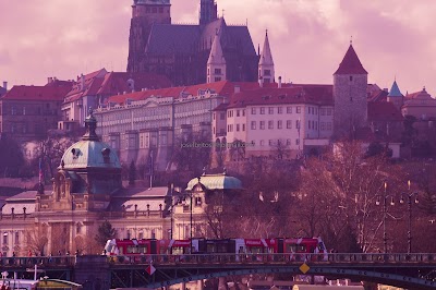 Photos of Prague Boats