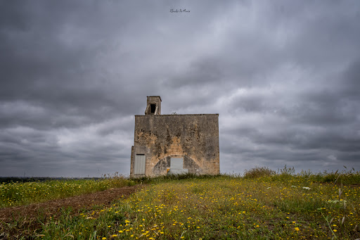 Comune di Trepuzzi - Visual