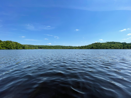 The Woods at Long Pond