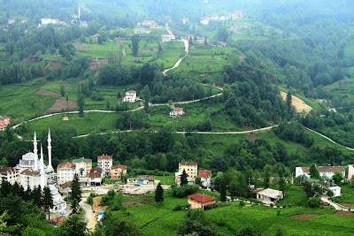 Gıda Tarım Ve Hayvancılık Bakanlığı Hayrat İlçe Müdürlüğü