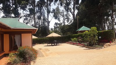 Photos of High Altitude Training Restaurant