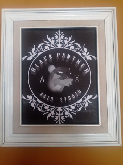 Black panther Hair Studio