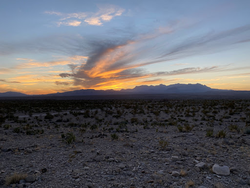 Camp de Leon - Visual