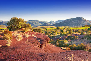 Photo n°6 de Boutique des vins Gérard Bertrand à Narbonne (Cave à vins)