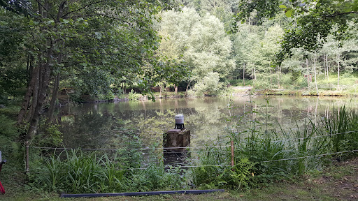 Fischzucht / Naturerlebnis Park - Thumbnail