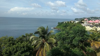 Photos of Island Routes Caribbean Tours