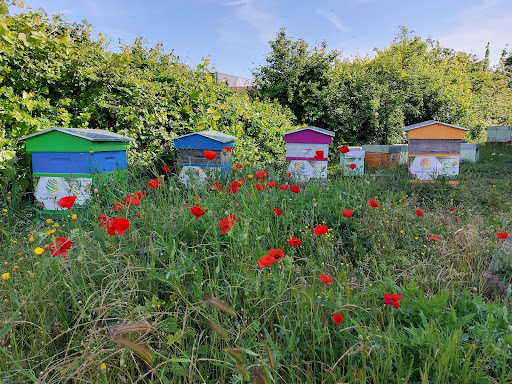 Planète Environnement