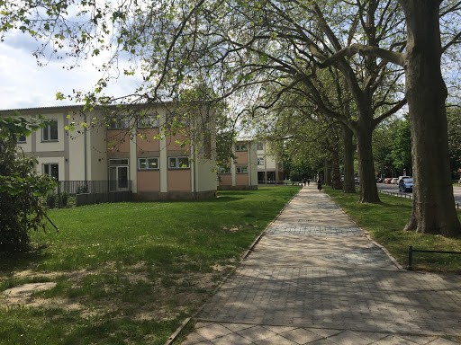 6. Elementary School "Am Grossen Garten" - Thumbnail